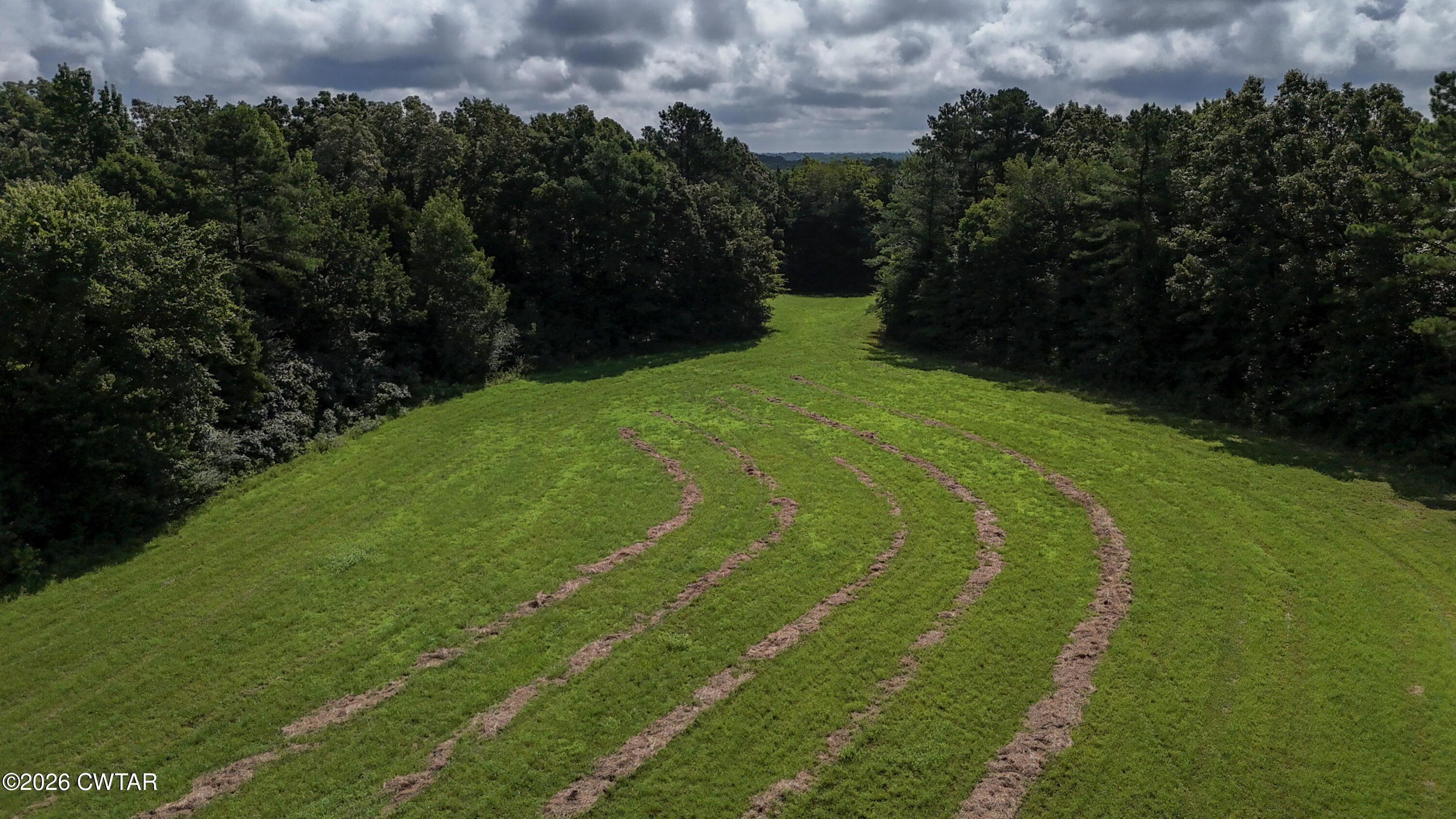 0 Mount Carmel Road Whiteville, TN 38075 - Photo 38 of 41 38-DJI_20260715100902_0409_D