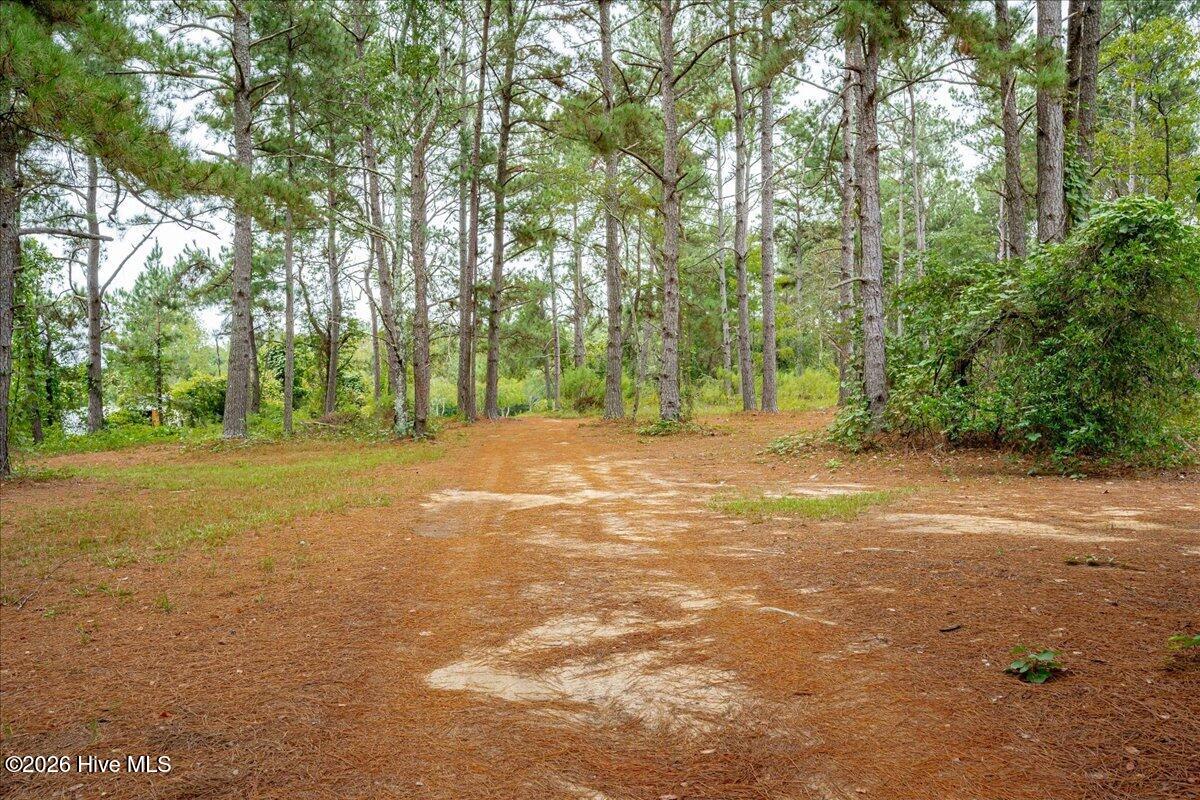 2657 Pine Log Road Warrenville, SC 29851 - Photo 45 of 54 54-054-