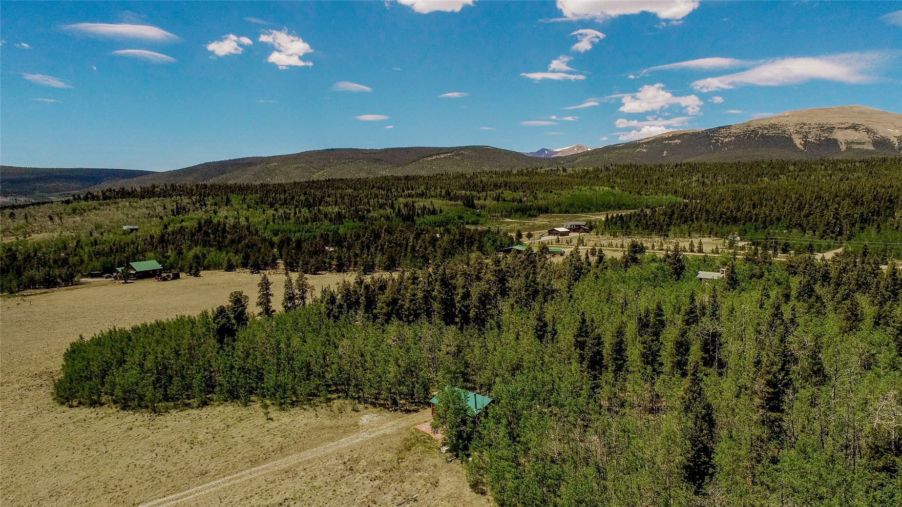 515 Wild Rye Road Fairplay, CO 80440 - Photo 9 of 24
