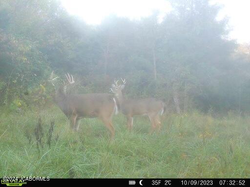 Tbd Miller Ford Road Centertown, MO 65023 - Photo 23 of 36