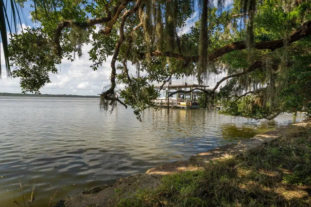 a view of a tree in front of a yard