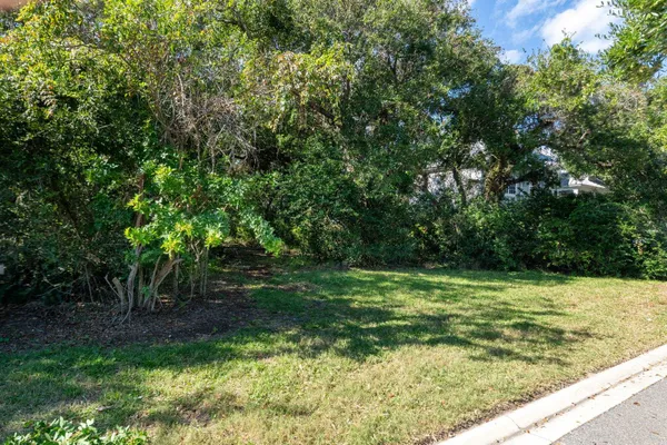 a view of a tree in a yard