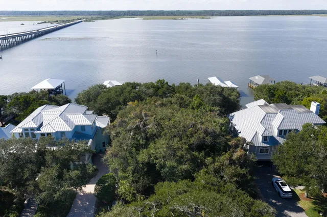 a view of a bunch of flowers in front of house