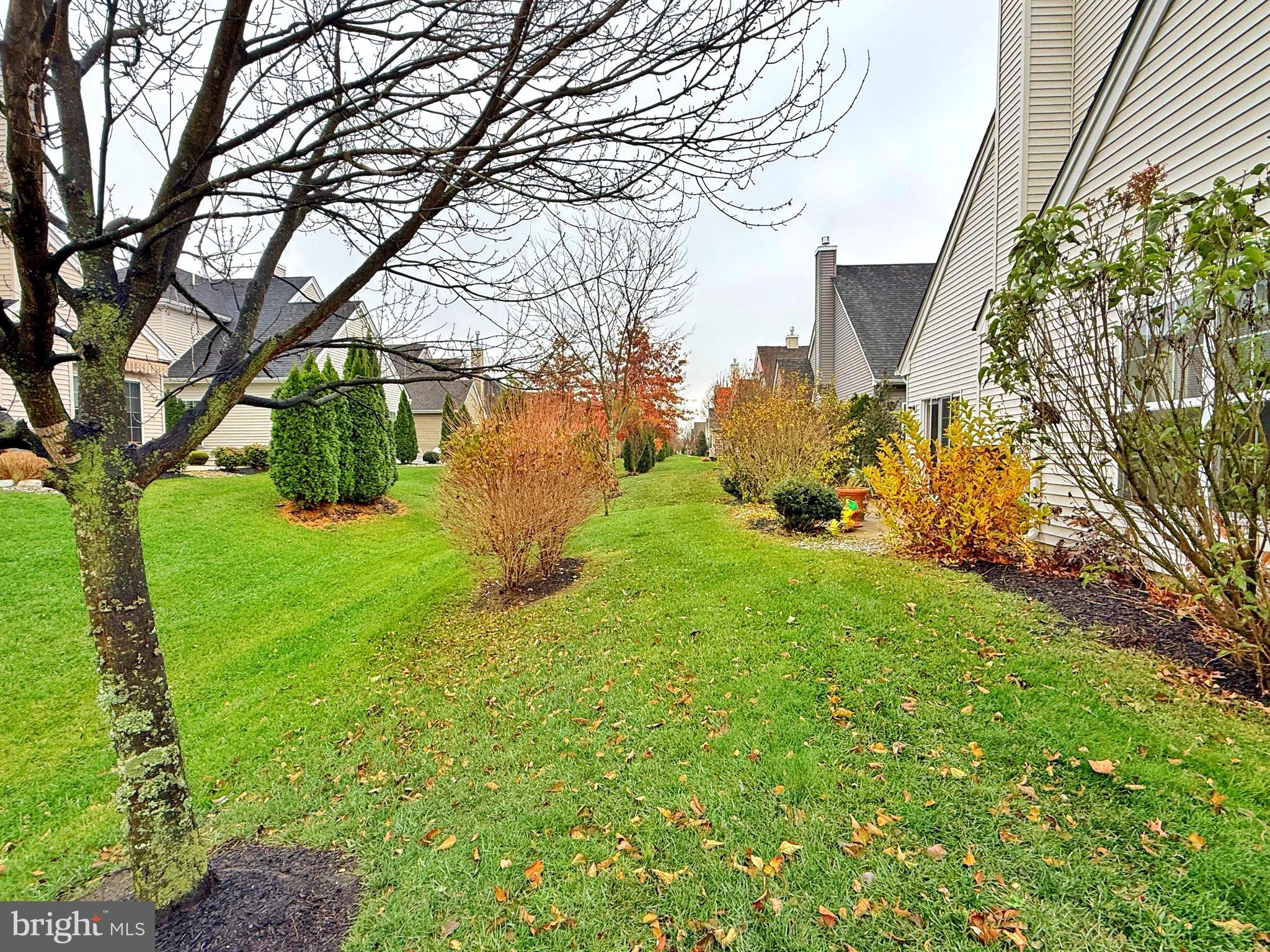 140 Weatherby Lane Glassboro, NJ 08028 - Photo 70 of 85 a view of a yard with plants and trees