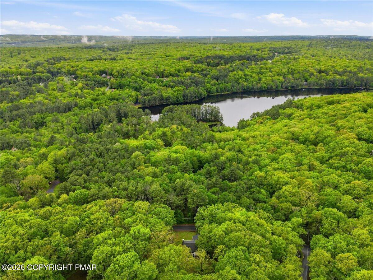 232 Garrity Road Hawley, PA 18428 - Photo 11 of 57 a view of a lush green forest with a lake