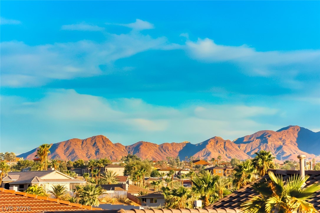 905 Rhyolite Terrace Henderson, NV 89011 - Photo 52 of 64