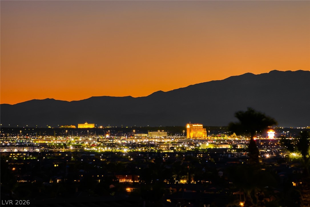 905 Rhyolite Terrace Henderson, NV 89011 - Photo 56 of 64