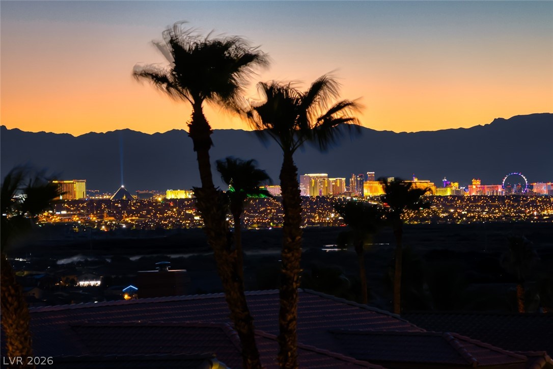 905 Rhyolite Terrace Henderson, NV 89011 - Photo 57 of 64