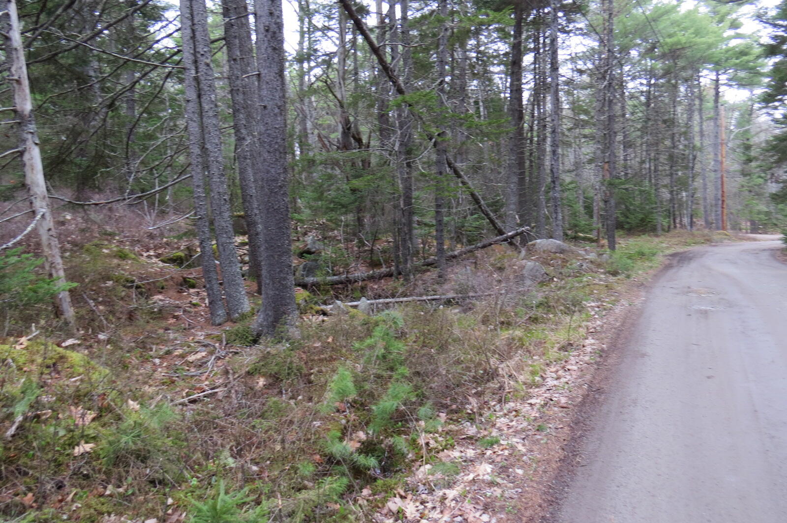 23 Porcupine Road Sullivan, ME 04664 - Photo 24 of 27 IMG_0209