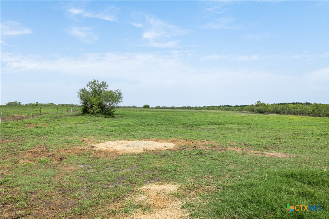 1190 Dickerson Road Lockhart, TX 78644 - Photo 8 of 40