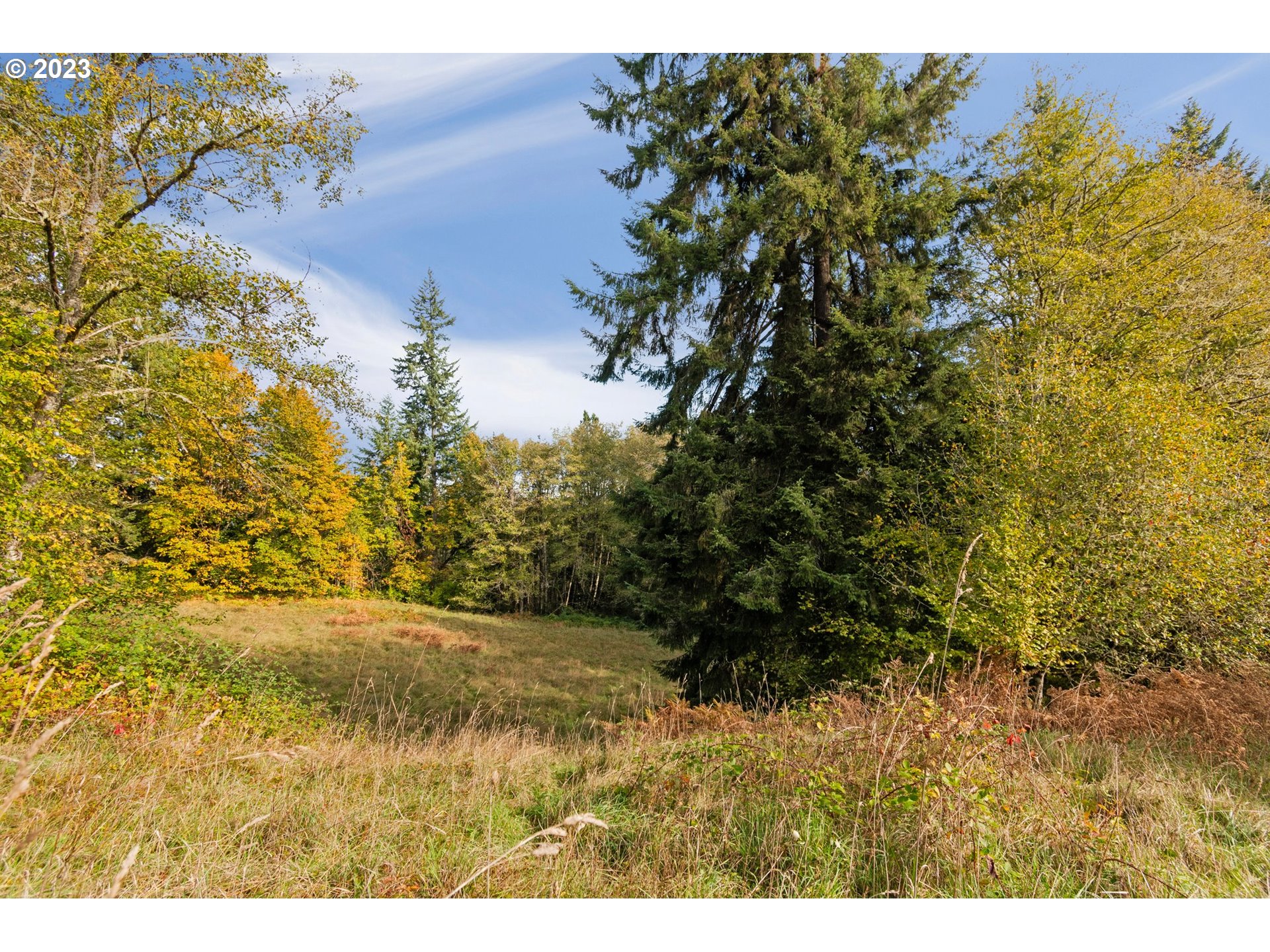 74990 Olson Road Clatskanie, OR 97016 - Photo 6 of 11 Gallery Image 6