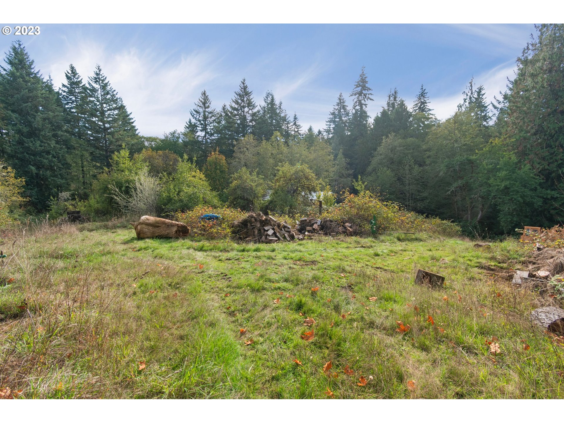 74990 Olson Road Clatskanie, OR 97016 - Photo 7 of 11 Gallery Image 7