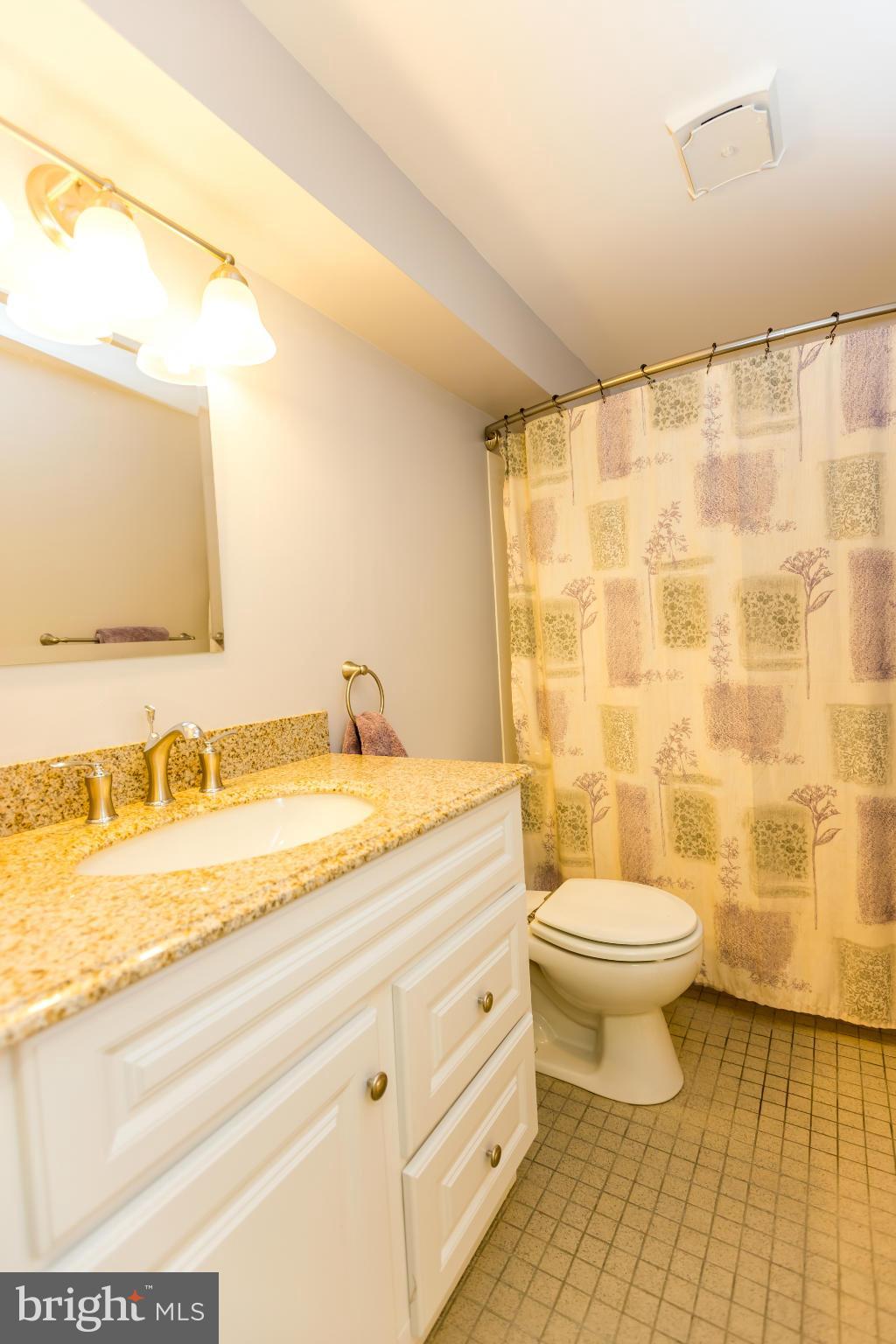 2605 Florence Road Mount Airy, MD 21771 - Photo 25 of 30 Full bath in lower level