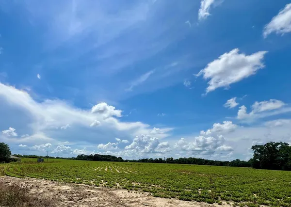 $395,000 | -36 Acres Rice Road, Dothan, AL 36301