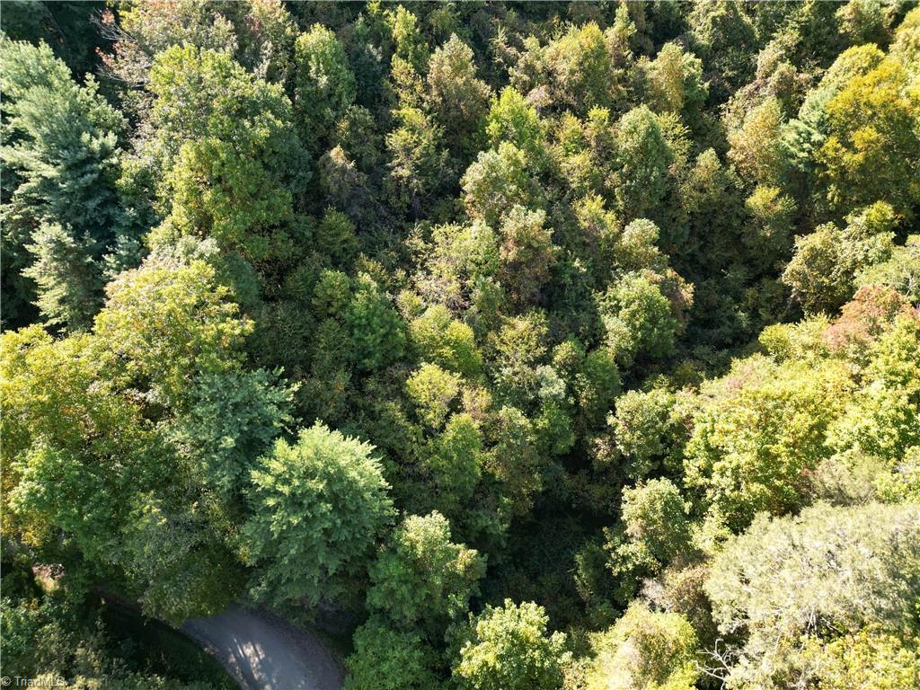 0 Orchard Road Deep Gap, NC 28618 - Photo 12 of 19