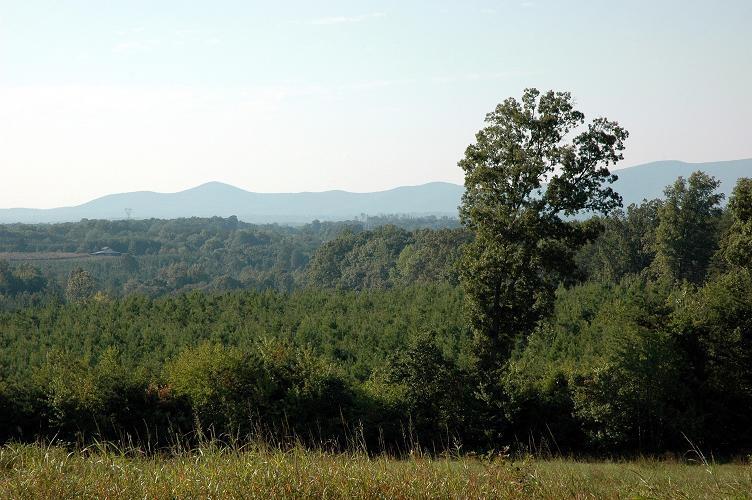6229 Climax Road Chatham, VA 24531 - Photo 8 of 10 a view of a lush green forest with lots of trees