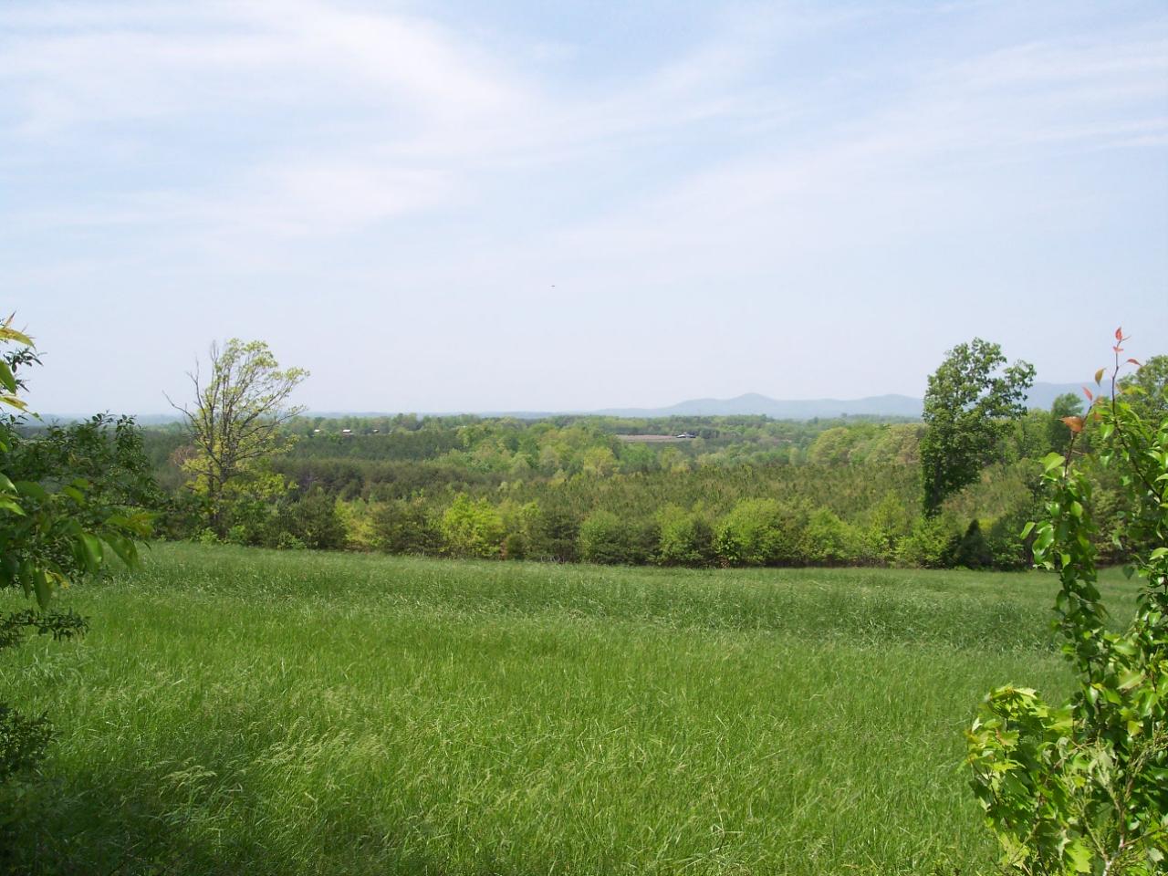 6229 Climax Road Chatham, VA 24531 - Photo 10 of 10 a view of an outdoor space and a yard