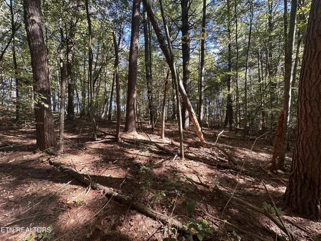 a view of outdoor space with trees