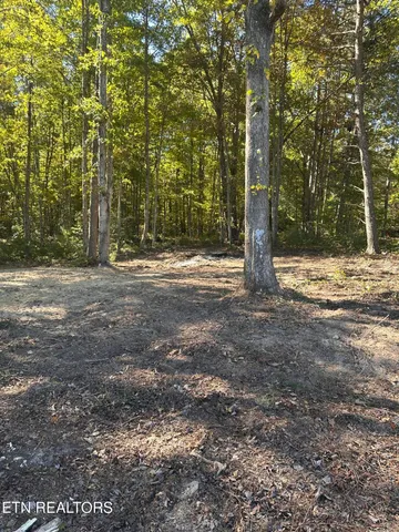 a view of a road with a trees