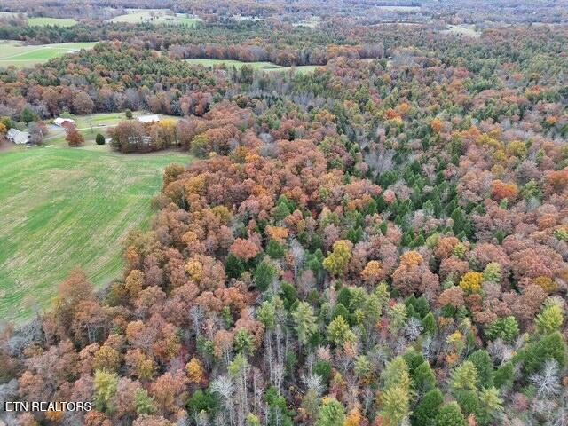 186 Cave Branch Road Allardt, TN 38504 - Photo 23 of 23 a view of a field of the house