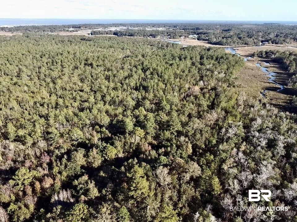 0 Riverview Pointe Drive Theodore, AL 36582 - Photo 10 of 21