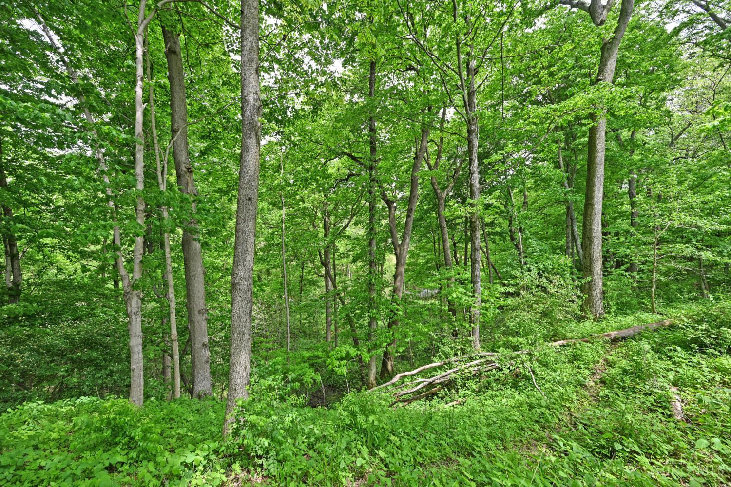 6244 Watt Road Camden, OH 45311 - Photo 4 of 48