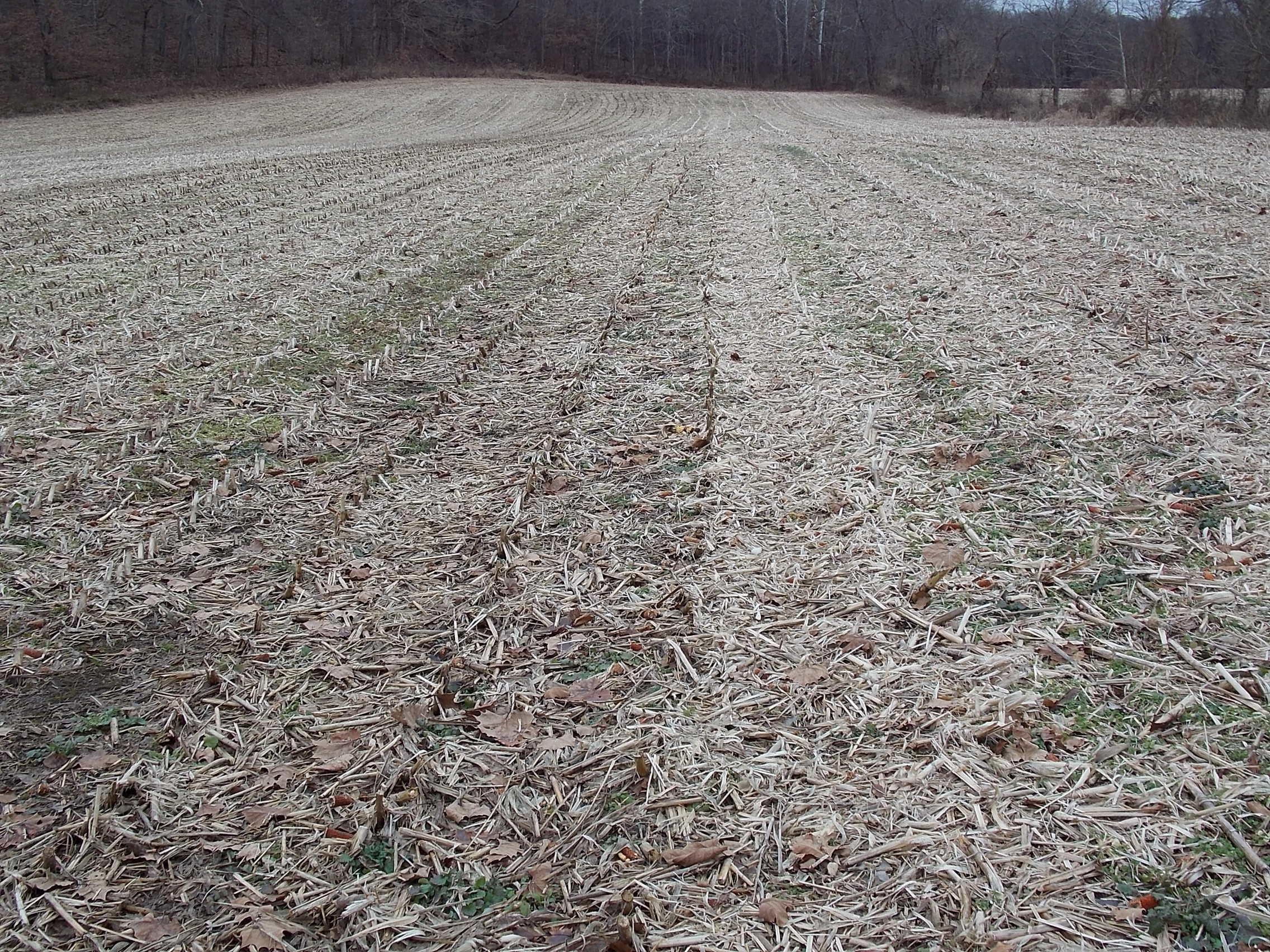 7080 Clearport Road Southwest Lancaster, OH 43130 - Photo 15 of 16