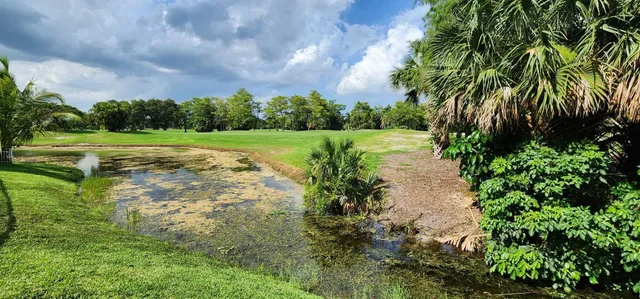 a view of a yard with plants and large trees