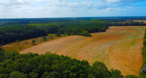 $445,000 | 0 County Road 33, Newville, AL 36353