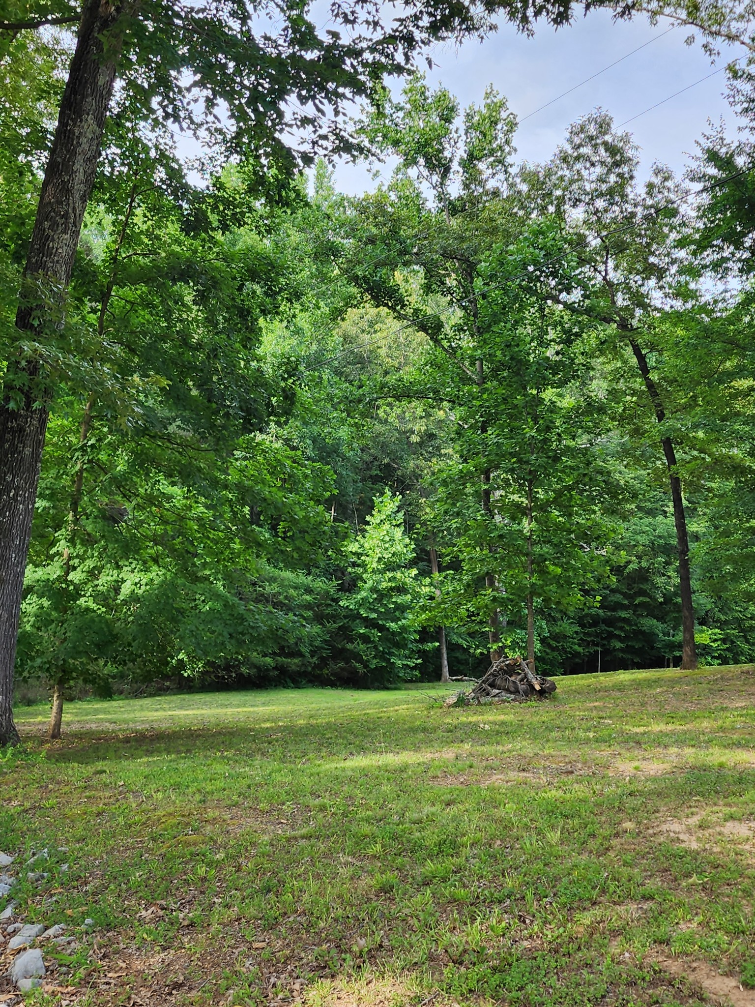 1626 Rock Church Road Dickson, TN 37055 - Photo 4 of 31 Gallery Image 4