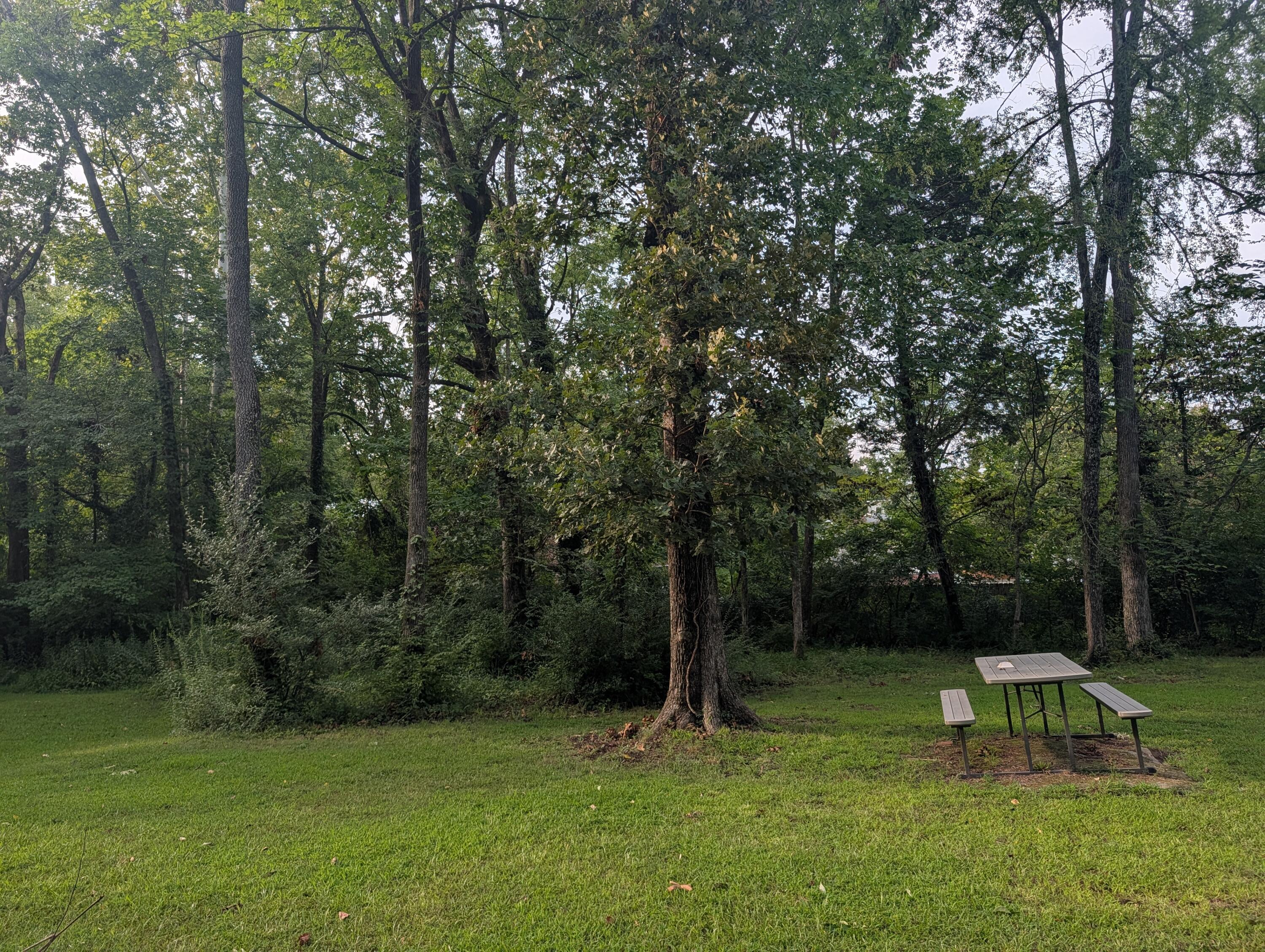 341 Vermont Avenue Oak Ridge, TN 37830 - Photo 69 of 79 PXL_20260814_225008188.RAW-01