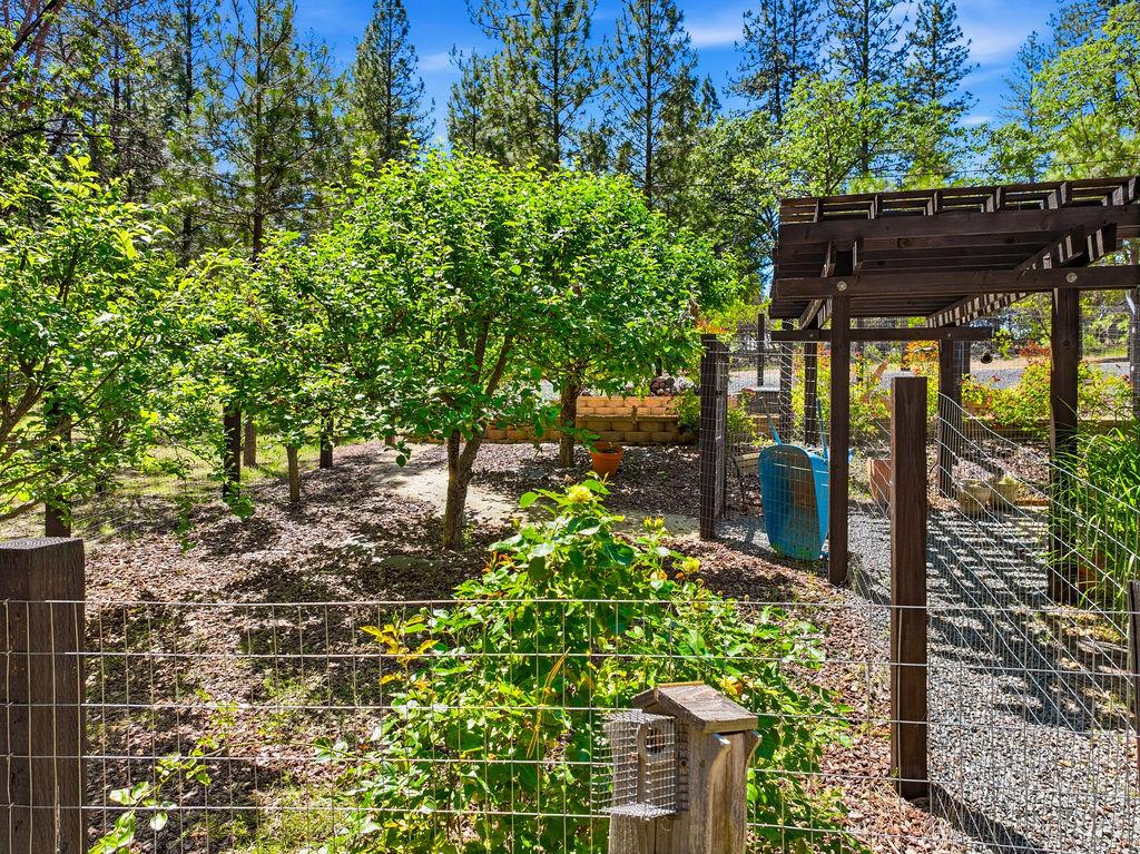 1927 Hidden Ridge Way Colfax, CA 95713 - Photo 12 of 60