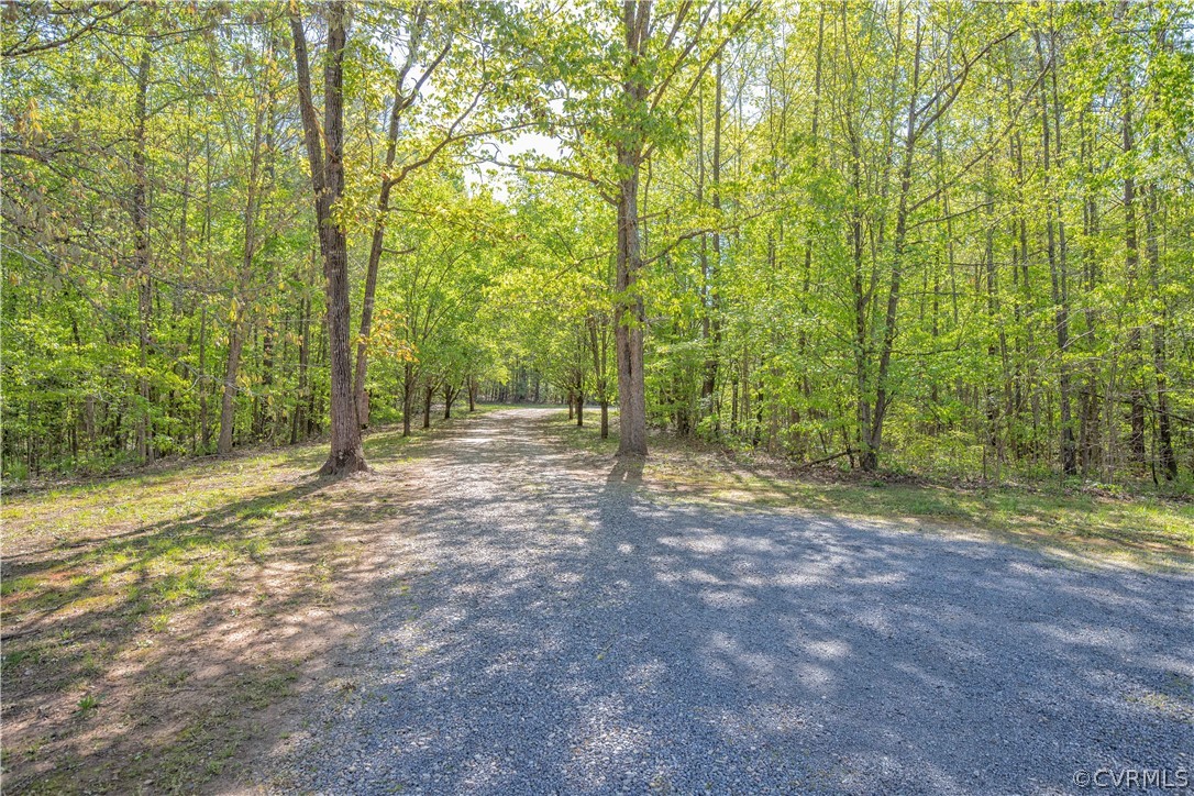 3975 Trinity Forest Road Church Road, VA 23833 - Photo 22 of 29 Gallery Image 22