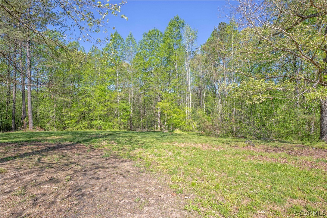 3975 Trinity Forest Road Church Road, VA 23833 - Photo 26 of 29 Gallery Image 26