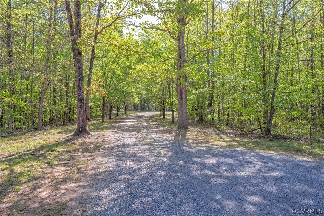 3975 Trinity Forest Road Church Road, VA 23833 - Photo 27 of 29 Gallery Image 27