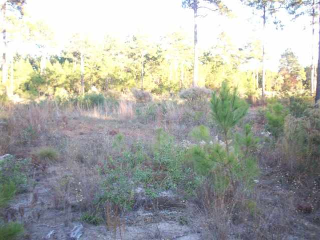 Lot 122 Chisholm Road Myrtle Beach, SC 29579 - Photo 7 of 7 Gallery Image 7