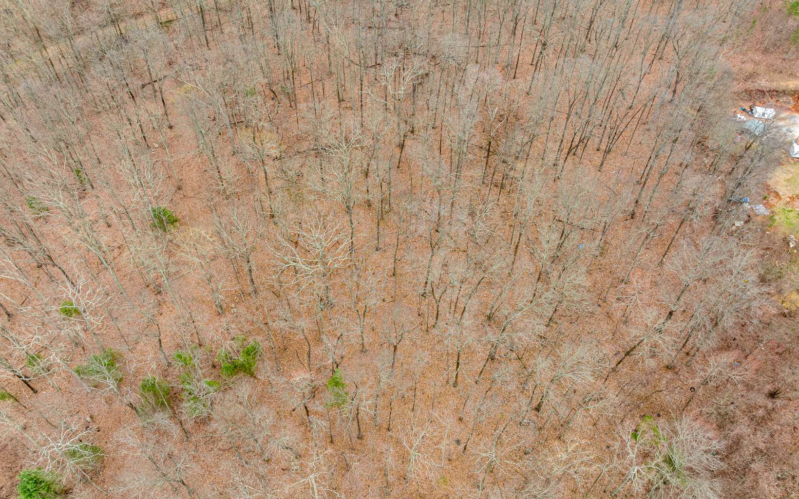 33.51 Cliffmine Road Chatsworth, GA 30705 - Photo 15 of 15 Additional View