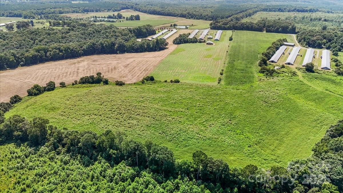 1732 Ether Road Star, NC 27356 - Photo 2 of 9