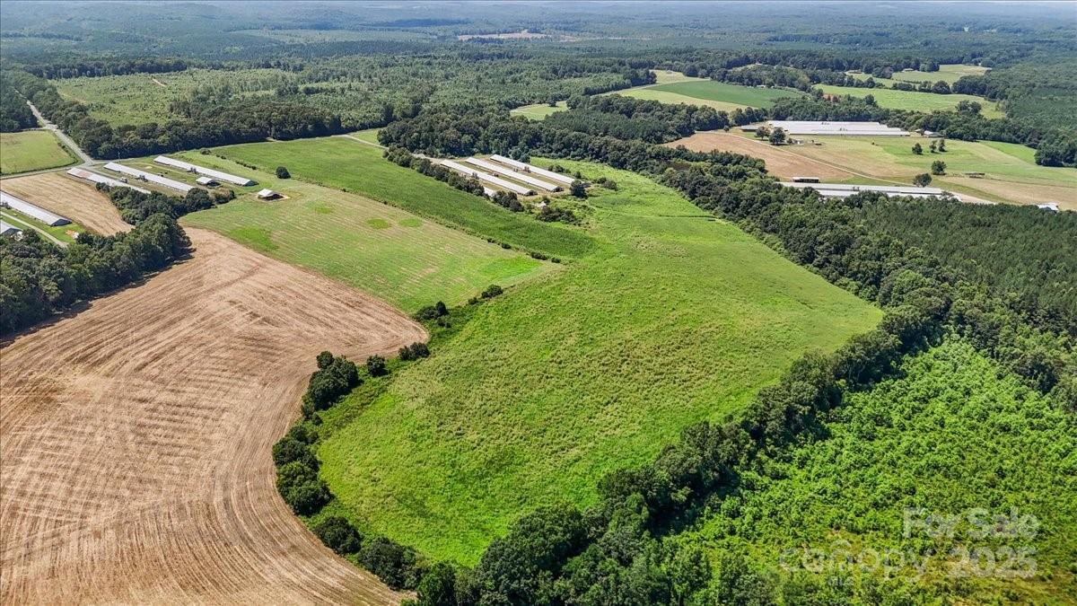 1732 Ether Road Star, NC 27356 - Photo 4 of 9 a view of a street with a grassy area