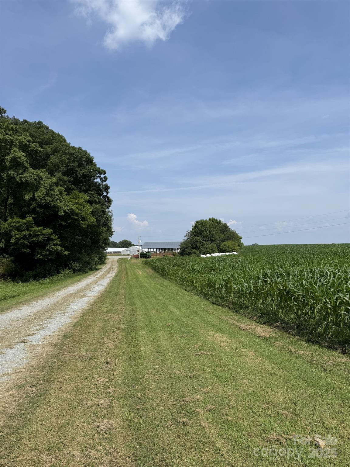 1732 Ether Road Star, NC 27356 - Photo 9 of 9 a view of a lake with a yard