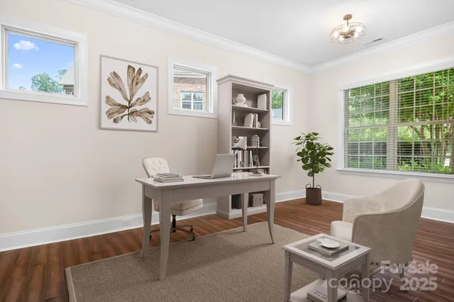 a workspace with furniture and a potted plant