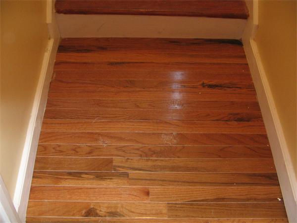 75 Waterhill Street Lynn, MA 01905 - Photo 17 of 28 Gallery Image 17