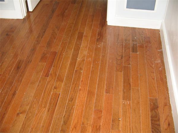 75 Waterhill Street Lynn, MA 01905 - Photo 25 of 28 Gallery Image 25