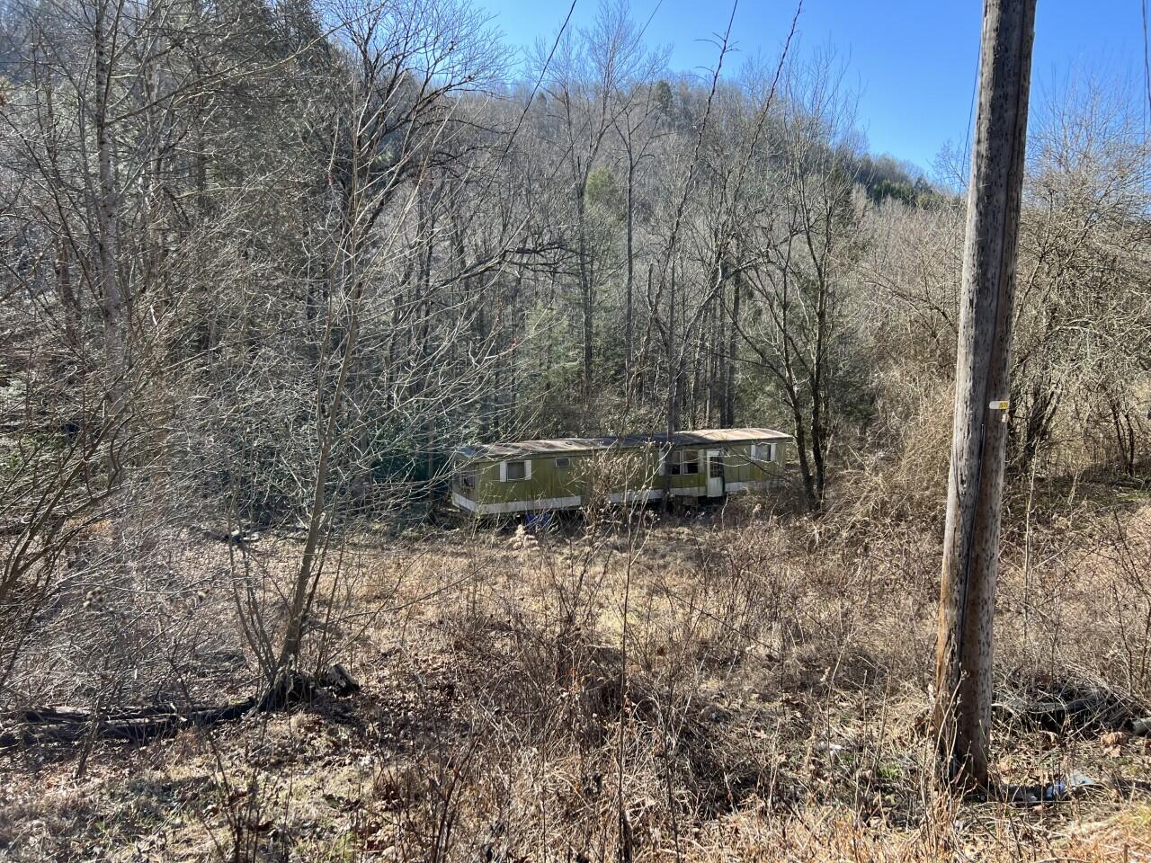 9558 Donald Branch Road Pound, VA 24279 - Photo 1 of 4 Land 1