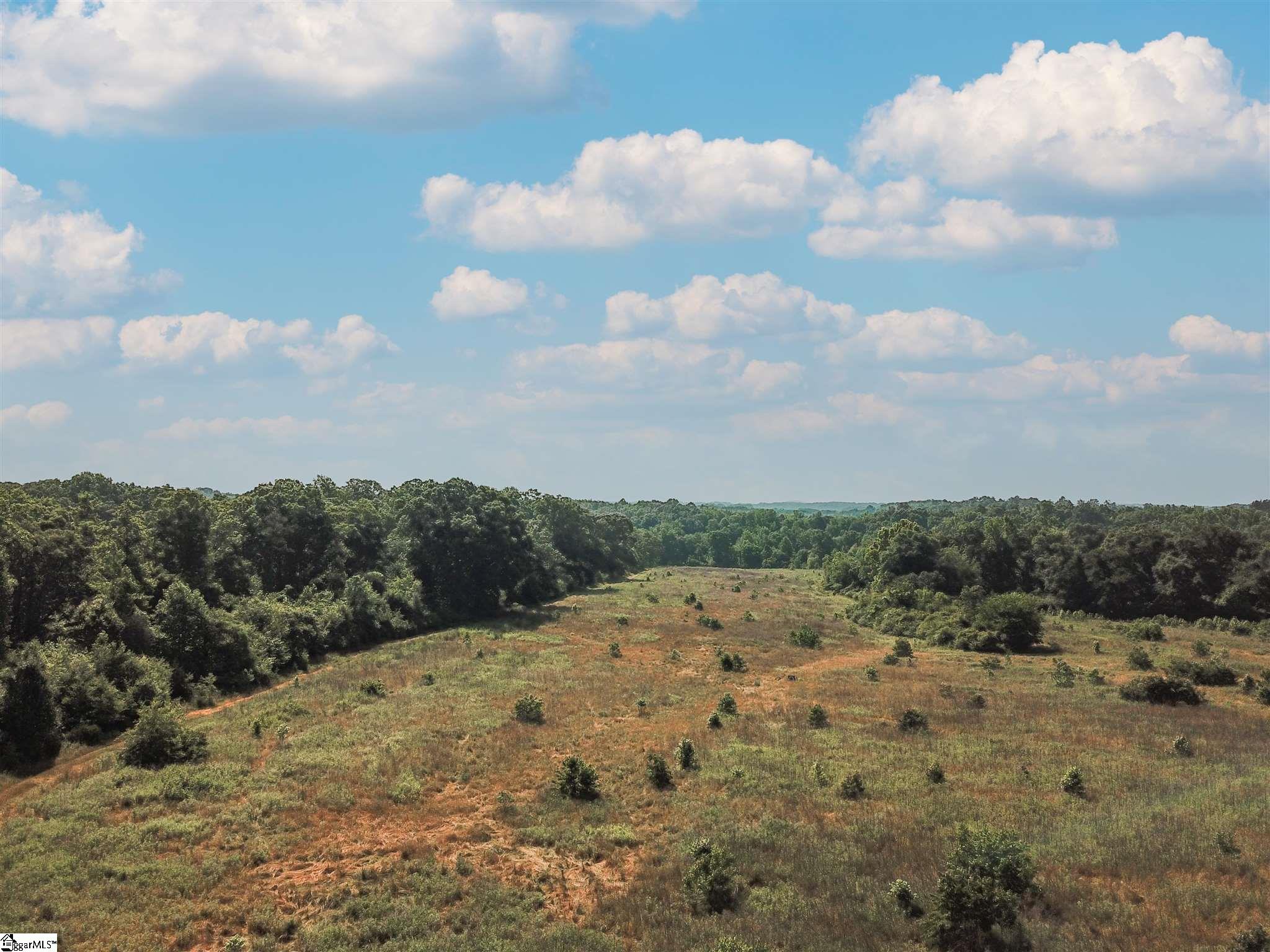 Stoddard Mill Road Gray Court, SC 29645 - Photo 2 of 21 Gallery Image 2