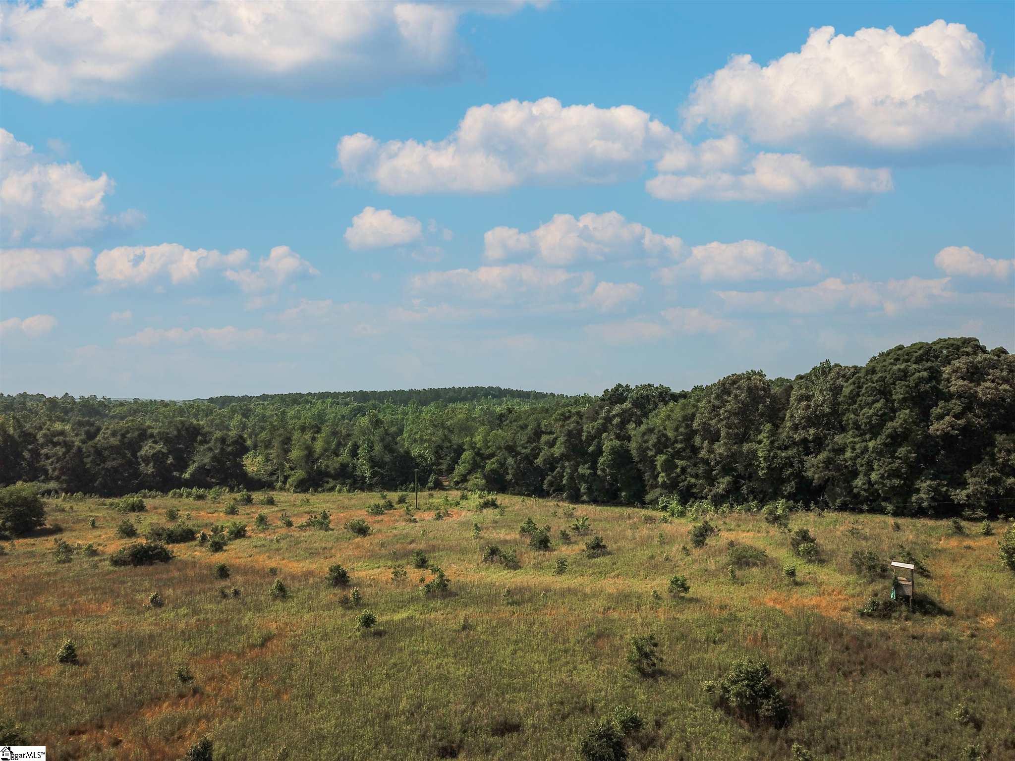 Stoddard Mill Road Gray Court, SC 29645 - Photo 3 of 21 Gallery Image 3