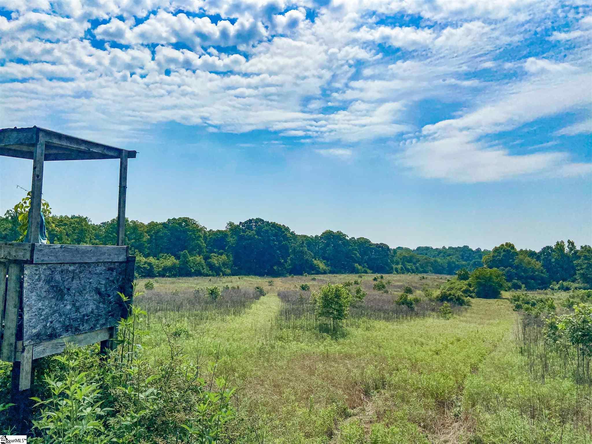 Stoddard Mill Road Gray Court, SC 29645 - Photo 21 of 21 Gallery Image 21