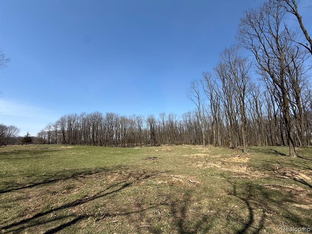 13 Equus Hills Howell, MI 48843 - Photo 11 of 22
