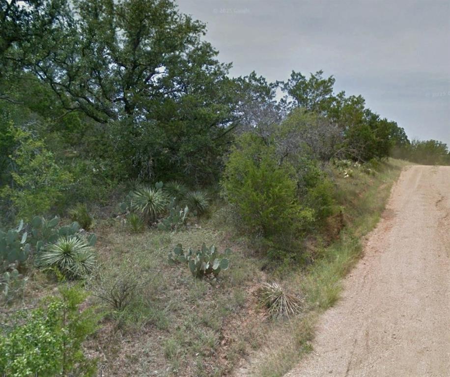 0 Hill Ridge Drive Granite Shoals, TX 78654 - Photo 3 of 26 View of undeveloped land