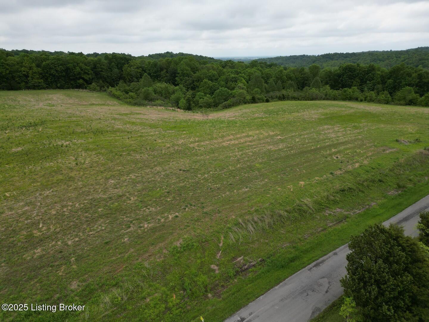 Lot 5 Duvall Road Caneyville, KY 42721 - Photo 4 of 5 L5-2